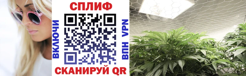 Хочу наркоту Богородск АМФ  Кодеин  МЕФ  Псилоцибиновые грибы  COCAIN  Гашиш  Конопля 