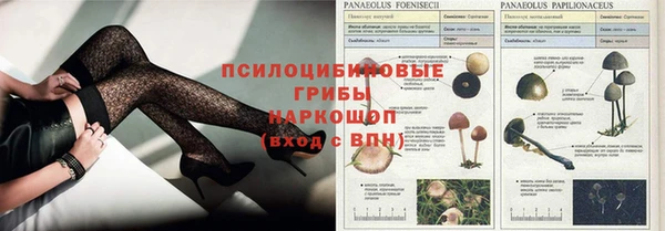 прущий лед Богородск