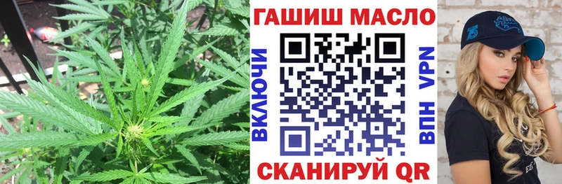 магазин продажи наркотиков Богородск ТГК гашишное масло